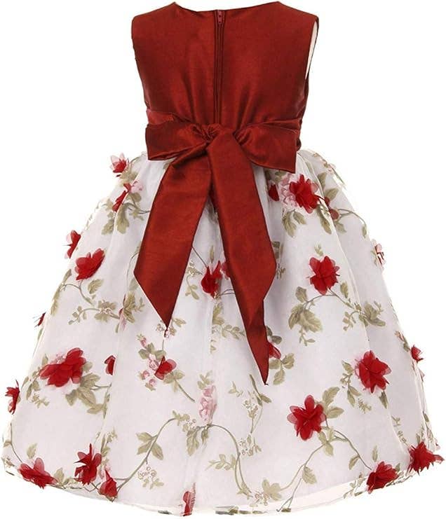 Girls Floral Embroidered Organza Dress with Bow and Brooch